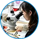 Inspección de rendimiento completo